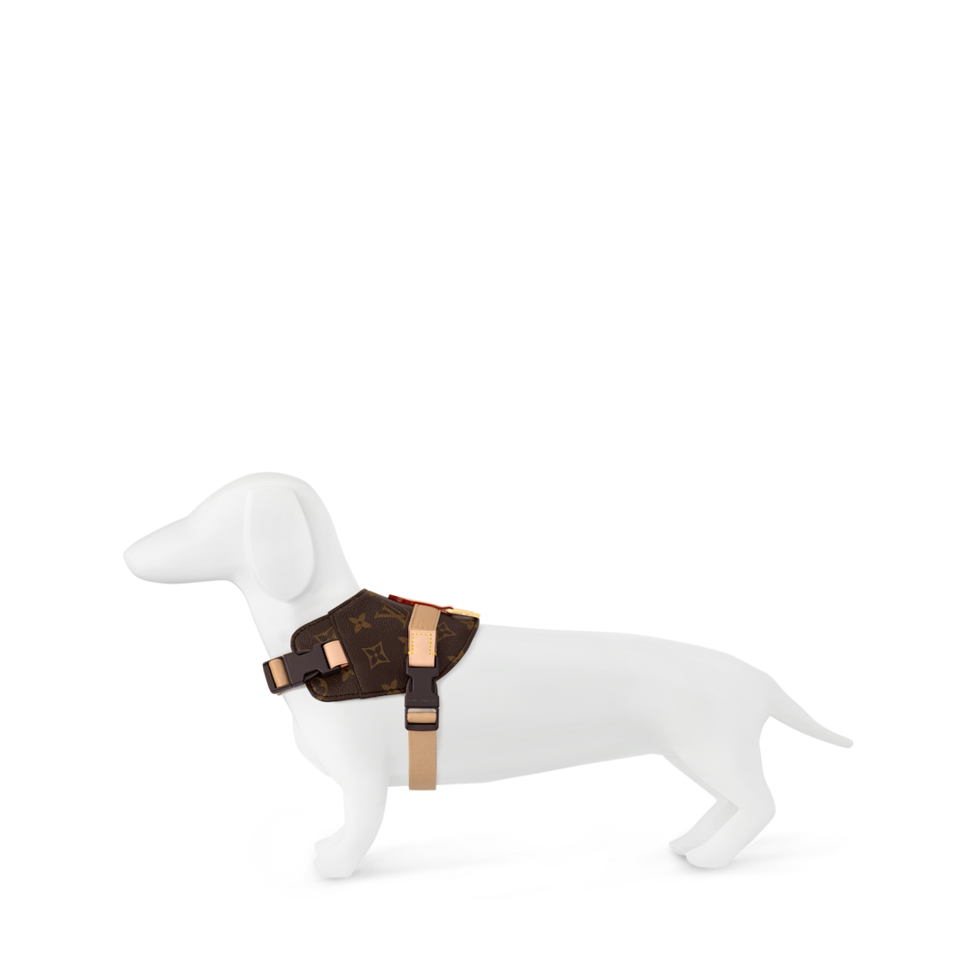 louis-vuitton--